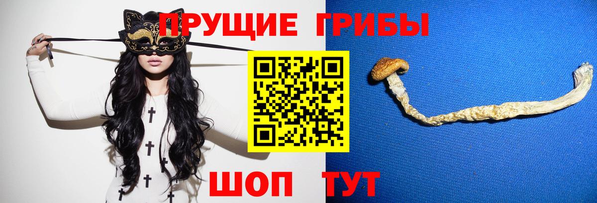 Ярославль  Галлюциногенные грибы MAGIC MUSHROOMS  Вход с VPN 